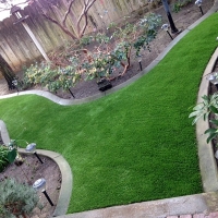 Artificial Grass Bay Point, California Lawn And Garden, Backyards