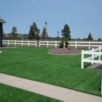 Artificial Grass Carpet Bret Harte, California Landscaping, Front Yard Landscape Ideas