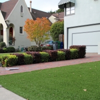 Artificial Grass Carpet Rosemont, California Roof Top, Small Front Yard Landscaping