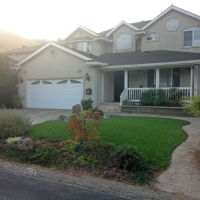 Artificial Grass Carpet West Sacramento, California Design Ideas, Front Yard Landscaping