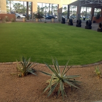 Artificial Grass Installation Clayton, California City Landscape, Commercial Landscape