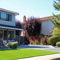 Artificial Grass Sacramento, California Landscaping, Front Yard Design