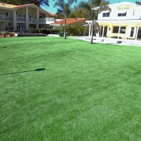 Artificial Grass San Martin, California Landscape Ideas, Natural Swimming Pools