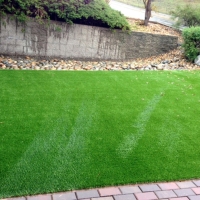 Artificial Grass Woodland, California Lawn And Garden, Front Yard