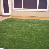 Artificial Lawn Berkeley, California Home And Garden, Backyard Ideas