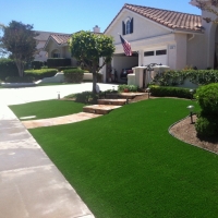 Artificial Lawn Bodega Bay, California Roof Top, Front Yard Landscaping Ideas