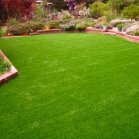 Artificial Turf Lucas Valley-Marinwood, California Backyard Playground, Backyards