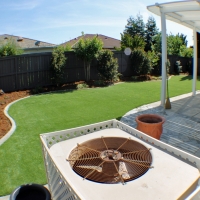 Artificial Turf Penngrove, California Landscape Photos, Backyard