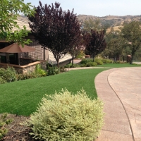 Artificial Turf Sebastopol, California Lawn And Garden, Front Yard Landscaping Ideas