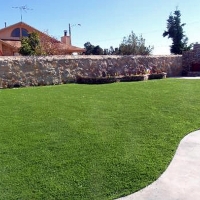 Artificial Turf Tamalpais-Homestead Valley, California Design Ideas, Backyard Garden Ideas