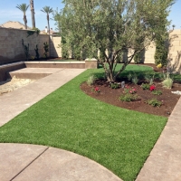 Best Artificial Grass Petaluma, California City Landscape, Front Yard Ideas