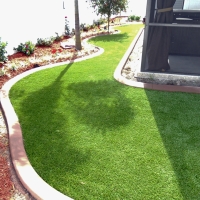 Fake Grass Carpet Cottonwood, California Design Ideas, Backyard