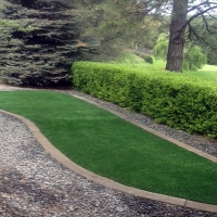 Fake Grass Carpet Davis, California Backyard Playground