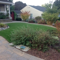 Fake Grass Carpet Del Rio, California Landscaping Business, Front Yard