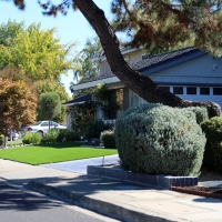 Fake Grass Carpet Diablo, California Home And Garden, Front Yard