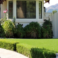 Fake Grass Carpet Discovery Bay, California Lawns, Front Yard Landscaping Ideas