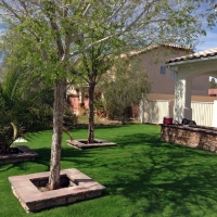 Fake Grass Carpet Esparto, California Backyard Playground, Front Yard