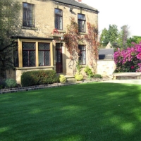 Fake Grass Carpet Las Lomas, California Garden Ideas, Front Yard