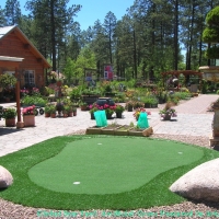 Fake Grass Daly City, California Putting Green Flags, Backyard Designs