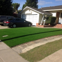 Fake Lawn Cambrian Park, California Lawns, Front Yard Landscape Ideas