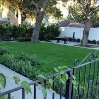 Fake Lawn Larkspur, California Lawn And Garden, Front Yard Landscape Ideas