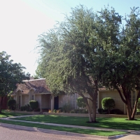 Fake Lawn Menlo Park, California Gardeners, Front Yard Landscape Ideas