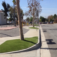 Fake Lawn Middletown, California Landscape Ideas, Commercial Landscape