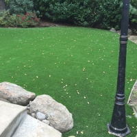 Fake Turf Brentwood, California Garden Ideas, Backyard Ideas