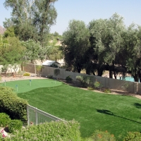 Faux Grass Dixon, California Indoor Putting Greens, Backyard