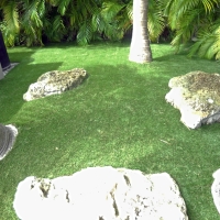 Faux Grass El Sobrante, California Landscaping, Backyard Designs