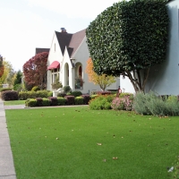 Faux Grass Kensington, California Lawn And Garden, Small Front Yard Landscaping