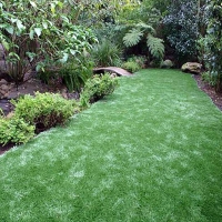 Grass Carpet Castro Valley, California Landscape Design, Backyard Garden Ideas