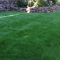 Grass Carpet Tiburon, California Backyard Deck Ideas, Small Backyard Ideas