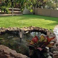 Grass Installation Strawberry, California Landscape Design, Backyard Designs