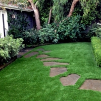 Grass Turf Watsonville, California Roof Top, Backyard Landscape Ideas