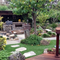 Grass Turf Windsor, California Design Ideas, Backyard Landscape Ideas