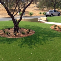 Green Lawn Colma, California Garden Ideas, Front Yard Landscaping