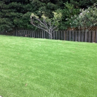 Green Lawn San Jose, California Gardeners, Backyard Ideas