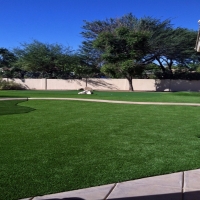 Green Lawn Suisun, California Landscaping, Front Yard Landscape Ideas