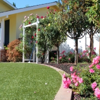 Green Lawn Union City, California Garden Ideas, Landscaping Ideas For Front Yard