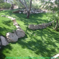 Lawn Services Belvedere, California Lawn And Landscape, Commercial Landscape