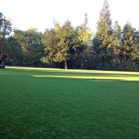 Outdoor Carpet Cambrian Park, California Garden Ideas, Parks