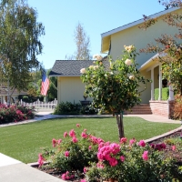 Plastic Grass American Canyon, California Landscaping Business, Front Yard Landscape Ideas