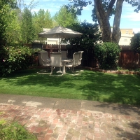 Plastic Grass August, California Gardeners, Backyard Design