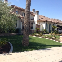 Plastic Grass Felton, California Landscaping, Small Front Yard Landscaping