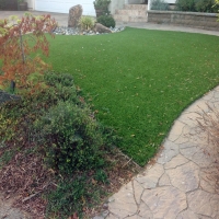 Plastic Grass La Riviera, California Cat Playground, Backyard Garden Ideas