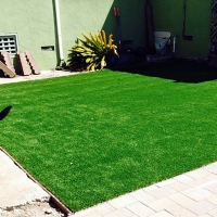 Synthetic Grass Cost Lafayette, California Roof Top, Dogs Runs