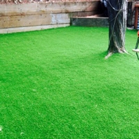 Synthetic Grass Cost Mill Valley, California Lawn And Garden, Backyard