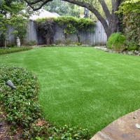 Synthetic Grass Live Oak, California Garden Ideas, Small Backyard Ideas