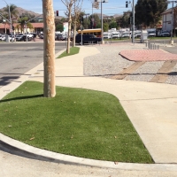 Synthetic Lawn Angwin, California Landscaping, Commercial Landscape